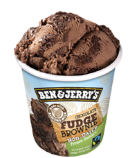 Chocolate Fudge Brownie Non Dairy Ben Jerry Vegan Ice Cream